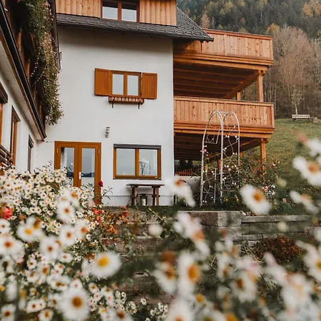 Hörandlhof Apartment *